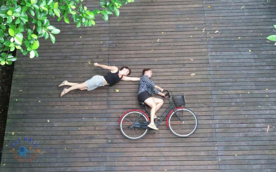 Explore Bangkok jungle by bike, kayak & boat - small group - Price and value: what $56 really covers for a Bangkok nature half-day