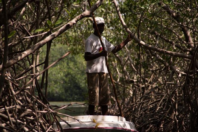 Explore La Boquilla’s Mangrove Tunnels with Local Fishermen - Key highlights you’ll care about
