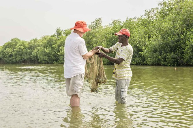 Explore La Boquilla’s Mangrove Tunnels with Local Fishermen - From Cartagena to La Boquilla: what this mangrove day is really like