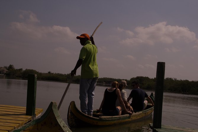 Explore La Boquilla’s Mangrove Tunnels with Local Fishermen - Price and value: is $159 worth it?