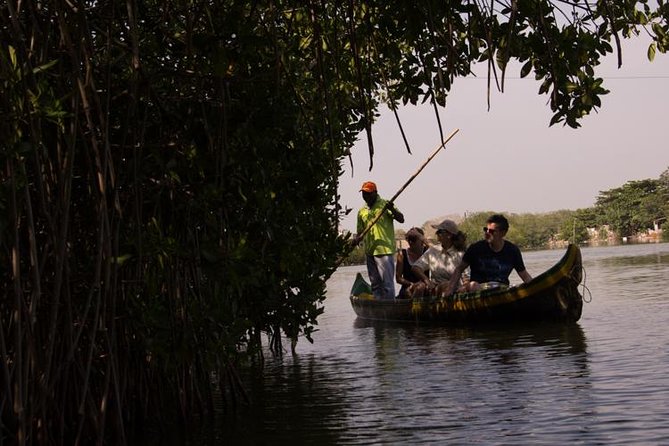Explore La Boquilla’s Mangrove Tunnels with Local Fishermen - The hotel pickup and Centro Histórico warm-up