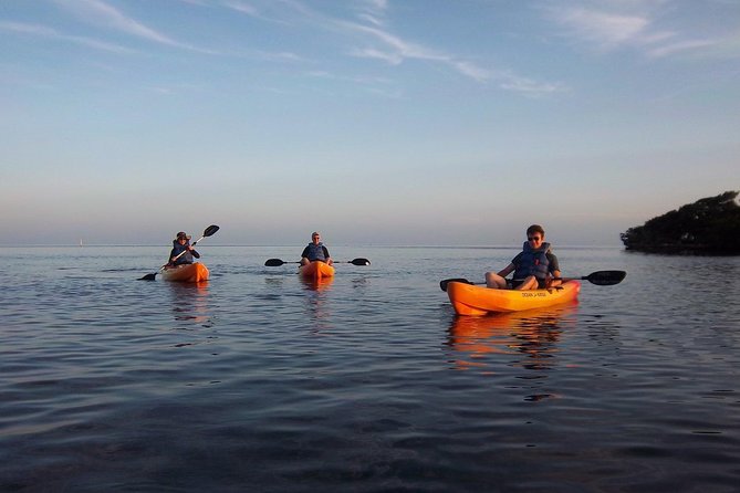 Explore Mangrove Creeks with an All Day SUP/single kayak Rental - Why Key Largo Mangrove Creeks Feel Like a Private Escape
