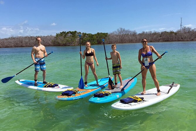 Explore the Mangrove Creeks with an ALL Day Tandem Kayak Rental - Key highlights if you’re planning this mangrove kayak day