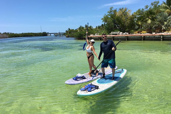 Explore the Mangrove Creeks with an ALL Day Tandem Kayak Rental - Why kayaking Key Largo mangroves is such a smart day