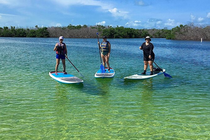 Explore the Mangrove Creeks with an ALL Day Tandem Kayak Rental - Route choice: deserted island paddling vs hidden lagoon jungle cuts