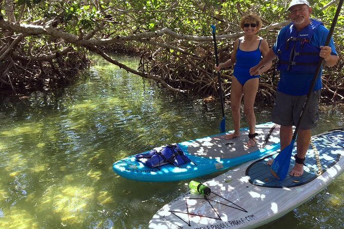 Explore the Mangrove Creeks with an ALL Day Tandem Kayak Rental - Wildlife spotting: what you’re likely to notice in mangrove creeks