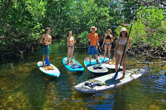 Explore the Mangrove Creeks with an ALL Day Tandem Kayak Rental - Who should book this tandem kayak mangrove rental—and who might not