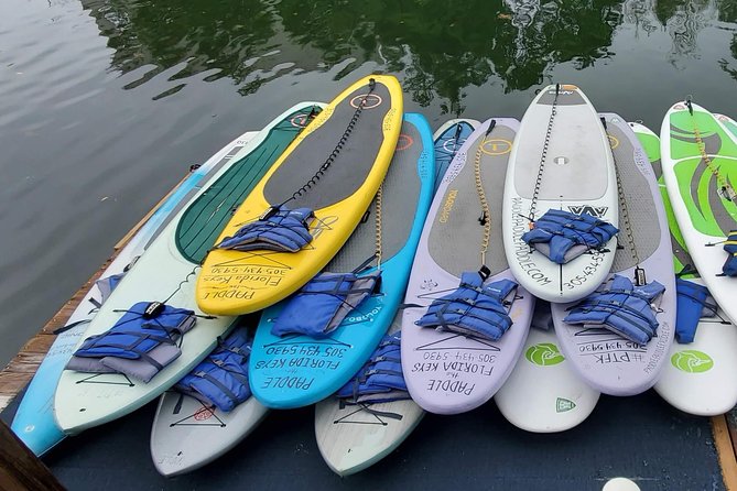 Explore the Mangrove Creeks with an ALL Day Tandem Kayak Rental - Practical tips to make your paddling day smoother
