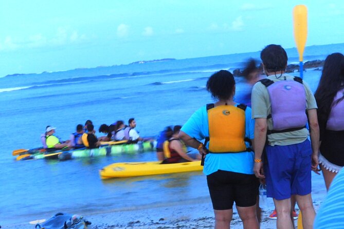 Fajardo Bioluminescent Bay Night Kayak Adventure from San Juan - The mangrove canal: where scenery meets crowd control