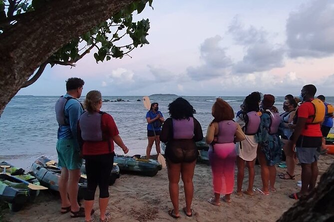 Fajardo Bioluminescent Bay Night Kayak Adventure from San Juan - Bio Bay bioluminescence: how the glow actually happens