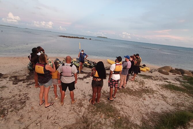 Fajardo Bioluminescent Bay Night Kayak Adventure from San Juan - Guides and safety: why people feel looked after