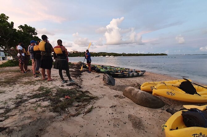 Fajardo Bioluminescent Bay Night Kayak Adventure from San Juan - Price and value: is $109 a fair deal?