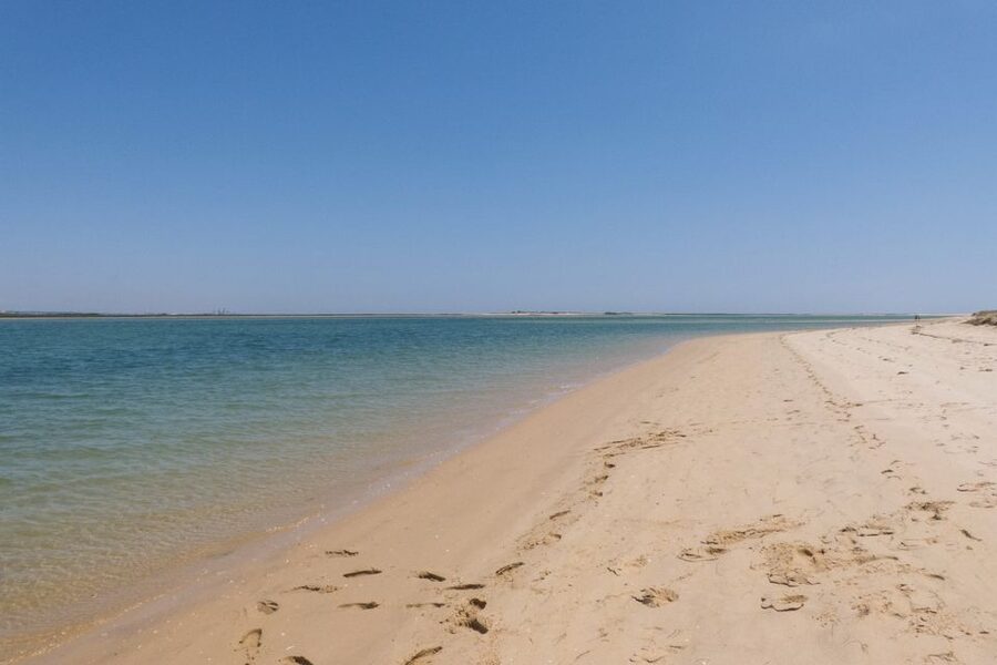 Faro: Kayak Hire in Ria Formosa Natural Park - Key things I’d prioritize before you go