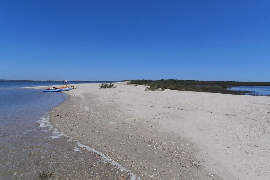Faro: Kayak Hire in Ria Formosa Natural Park - Who This Fits Best in Your Algarve Trip