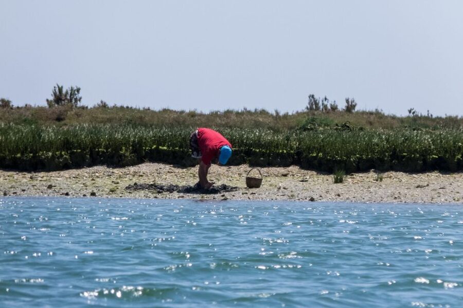 Faro: Kayak Hire in Ria Formosa Natural Park - Faro’s Marina Launch: Where the Kayak Adventure Starts