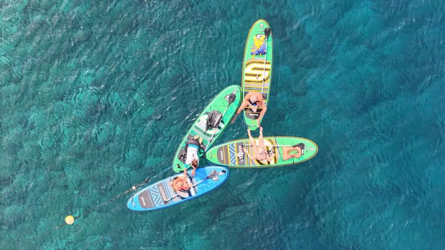 Flamingo Beach: Guided SUP and Snorkeling experience - Snorkeling With a Guide: Fish Names You Can Remember
