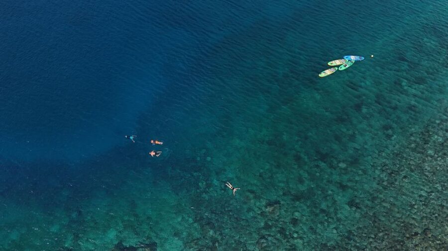 Flamingo Beach: Guided SUP and Snorkeling experience - What You Should Bring (and Wear)