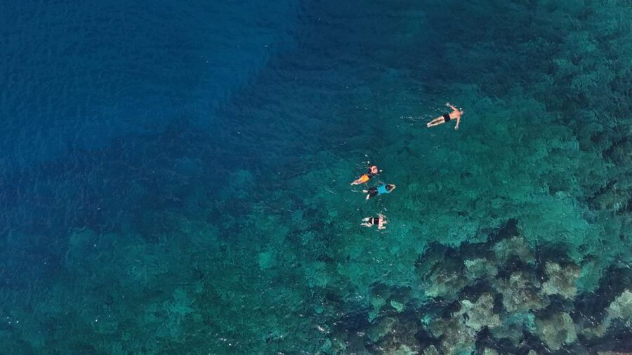 Flamingo Beach: Guided SUP and Snorkeling experience - Price Value: Is $69 Fair for SUP + Snorkeling?