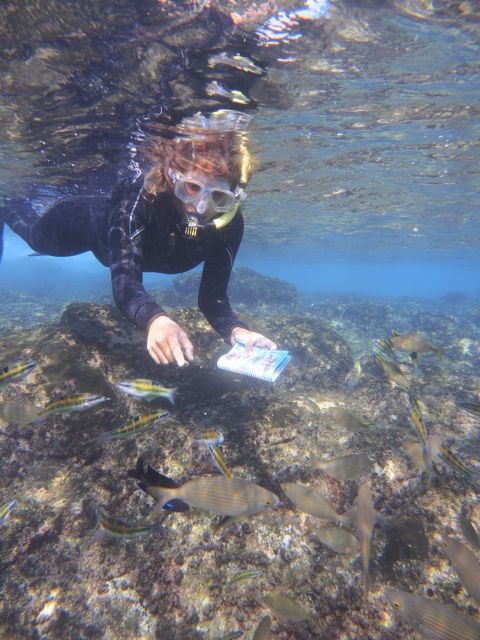 Flamingo Beach: Guided SUP and Snorkeling experience - What the 2 Hours Feels Like: Learn, Paddle, Snorkel, Return