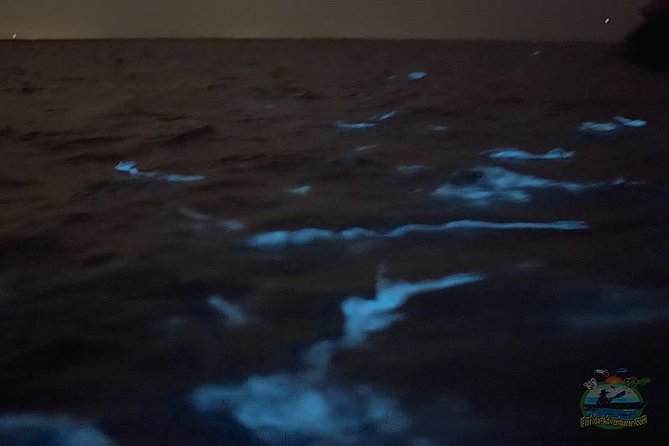 Florida Bioluminescence Clear Kayak tour/ Beacon 42 (Titusville) - What Actually Happens During the 90-Minute Paddle