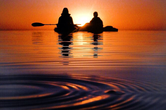 Florida Bioluminescence Clear Kayak tour/ Beacon 42 (Titusville) - Logistics That Matter: Meeting Point, Timing, and Moonlight