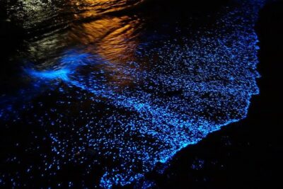 Florida Bioluminescence Kayaking Tour (Titusville) - Bioluminescence Reality Check: When It’s Spectacular and When It Fades