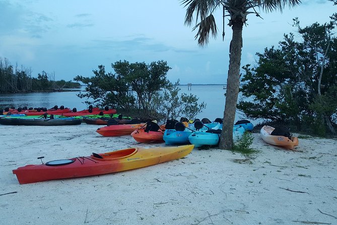 Florida Bioluminescence Kayaking Tour (Titusville) - What To Bring: The “You’ll Thank Yourself Later” List