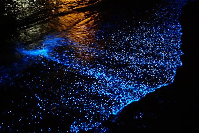 Florida Bioluminescence Kayaking Tour (Titusville) - Bioluminescence Reality Check: When It’s Spectacular and When It Fades