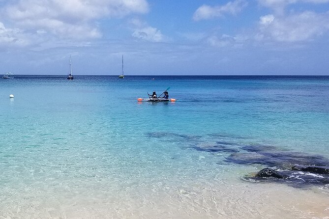Folkestone Coral Reef Clear Kayak Tour - Key things that make this tour work