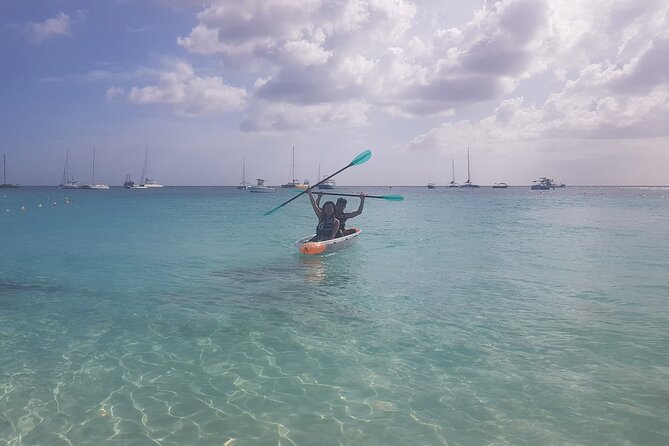 Folkestone Coral Reef Clear Kayak Tour - Where You Launch From in Holetown and Why It Matters