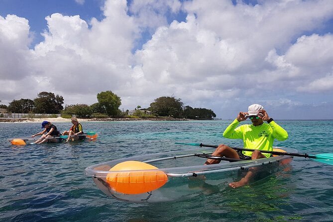 Folkestone Coral Reef Clear Kayak Tour - Price and Value: What $53.29 Buys You in Barbados