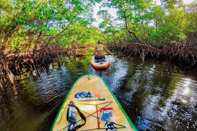 Fort Lauderdale Bonnet House Ground and Guided Paddle Board Kayak - Key points worth knowing before you go