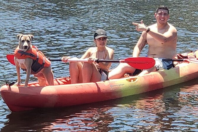 Fort Lauderdale Bonnet House Ground and Guided Paddle Board Kayak - Guided paddle tour: choosing kayak or paddleboard