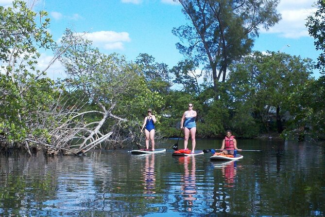 Fort Lauderdale Bonnet House Ground and Guided Paddle Board Kayak - Price and value: what $149 gets you in practice