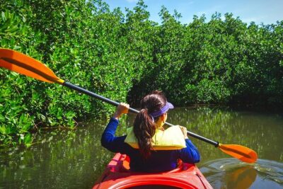 Fort Lauderdale’s Tropical Kayak Tour and Island Adventure - Mangroves, Tides, and Wildlife: What to Expect (and What Not to Chase)