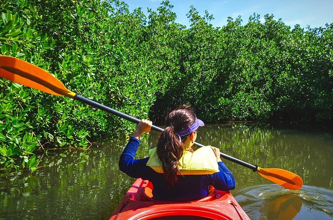 Fort Lauderdale’s Tropical Kayak Tour and Island Adventure - Price and Value: Is $99 Worth It for Two Hours?