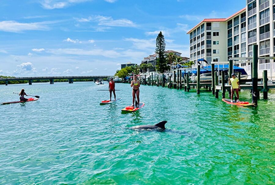 Fort Myers: Guided Standup Paddleboarding or Kayaking Tour - What $65 buys you: value, equipment, and time on the water