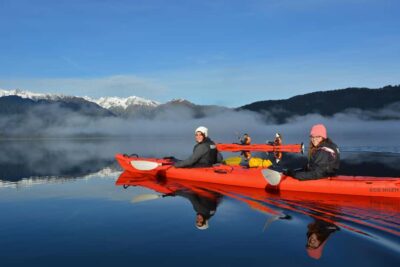 Franz Josef: 3-Hour Kayak Tour on Lake Mapourika - The real payoff: 3 hours on a kayak that feels like still water