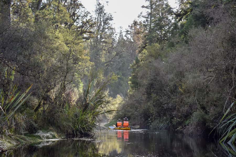 Franz Josef: 3-Hour Kayak Tour on Lake Mapourika - Price and value: why $86 feels fair for three hours on the water