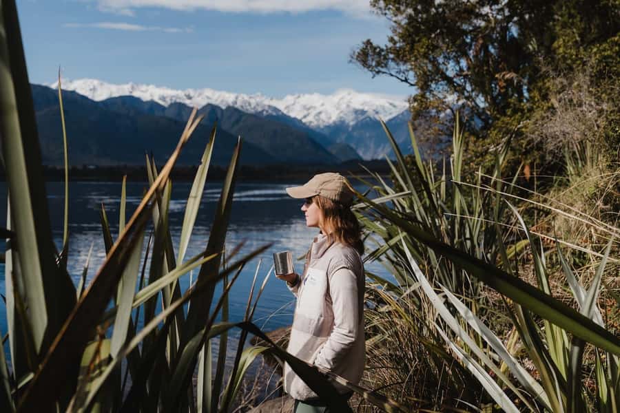 Franz Josef: Kayak & Walking Tour to Okarito Kiwi Sanctuary - Key Highlights You’ll Actually Feel During the 4 Hours