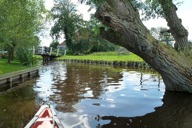 Fresh nose tour with the canoe through the nature near Amsterdam - Key things I’d watch for on this canoe tour