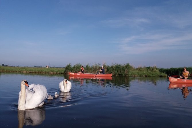 Fresh nose tour with the canoe through the nature near Amsterdam - Price and Value: Is $46.99 for Two Hours Reasonable?
