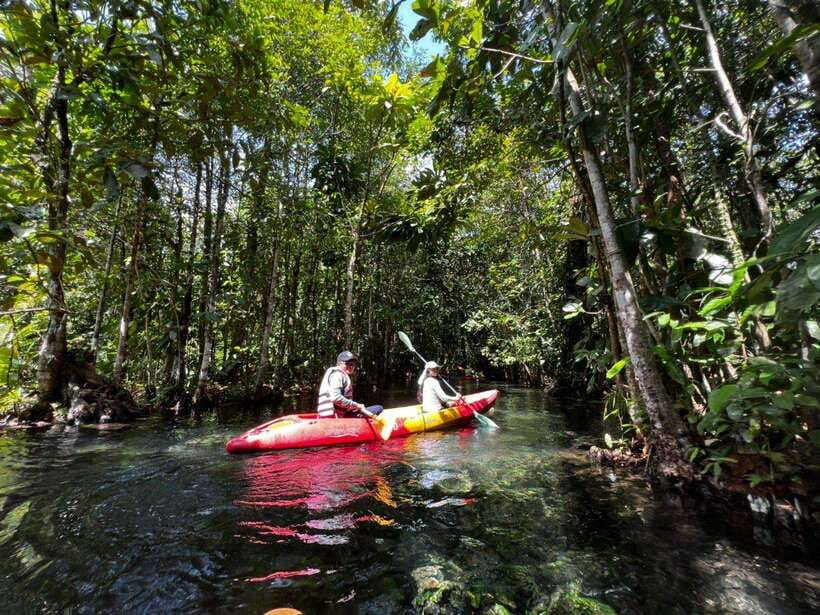 From Ao Nang: Kayaking at Klong Rud with Hotel Transfers - Key points worth knowing before you go