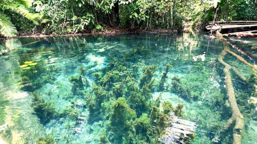From Ao Nang: Kayaking at Klong Rud with Hotel Transfers - What’s Not Included (And What You Should Plan For)