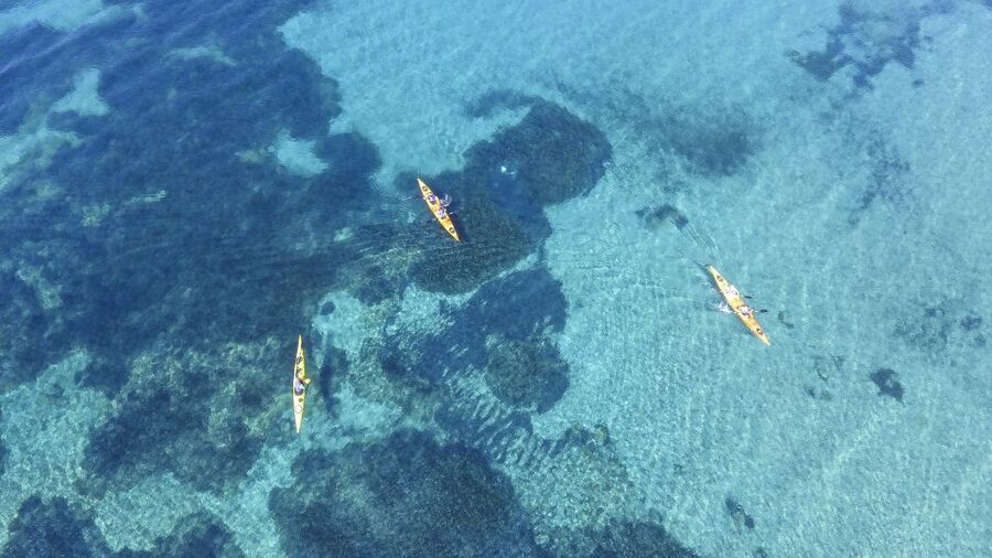 From Athens: Cape Sounion Guided Kayaking Tour with Lunch - Archi Island or Legrena beaches: your swim-and-snack break