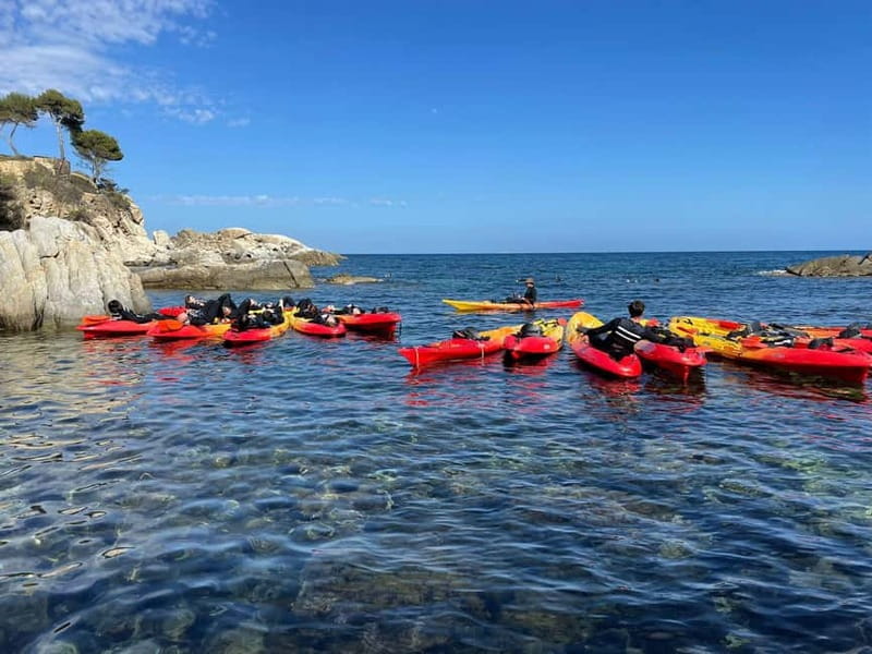 From Barcelona: Costa Brava Kayak & Snorkel Tour with Picnic - Should You Book This Costa Brava Kayak & Snorkel Tour?