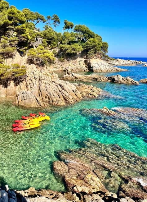 From Barcelona: Costa Brava Kayak & Snorkel Tour with Picnic - Snorkeling Over Native Sea Life: What You Can Actually See