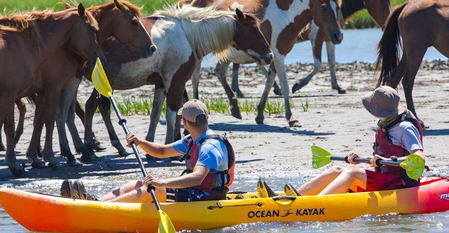 From Chincoteague: Guided Kayak Tour to Assateague Island - Chincoteague to Assateague by kayak: what the paddle feels like