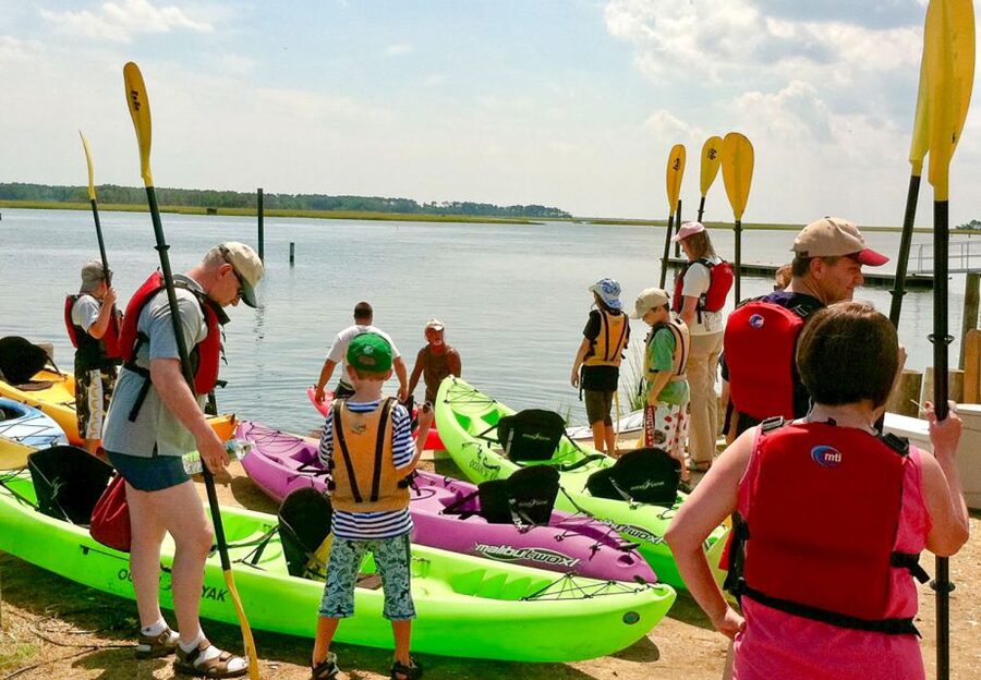 From Chincoteague: Guided Kayak Tour to Assateague Island - Marshlands and warm back-bay water: your wildlife search game plan