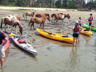 From Chincoteague: Guided Kayak Tour to Assateague Island - Meeting at Chincoteague Veteran’s Memorial Park and getting set up fast